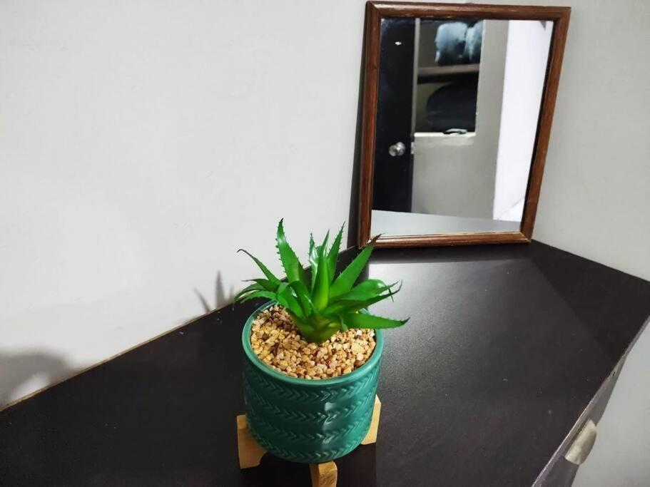 Ferienwohnung Hermoso Departamento Centrico Con Servicios Tequila Exterior foto